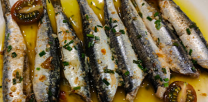 plato 5 300x148
